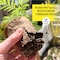 Plantation Products Ferry-Morse 7 Cells 5 in. H X 4 in. W X 4 in. L Seed Starting Peat Pot 7 pk FR407 - alternate 4